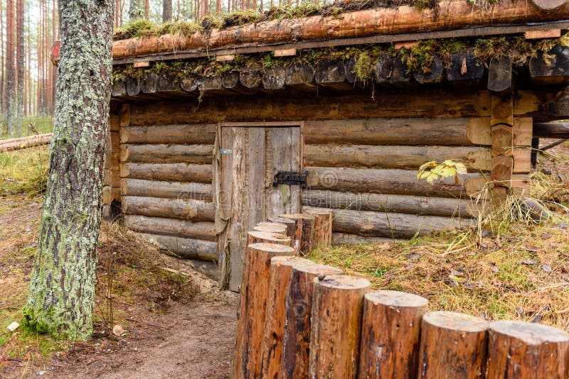 Casa de campo com carvalhos foto de stock