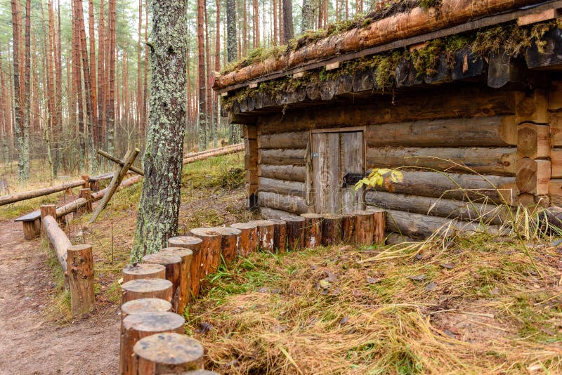 Casa de campo com carvalhos foto de stock royalty free