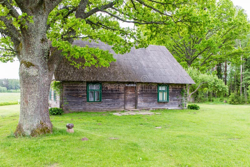 Casa de campo com carvalhos imagem de stock