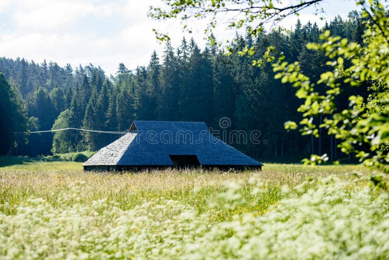 Casa de campo com carvalhos imagem de stock