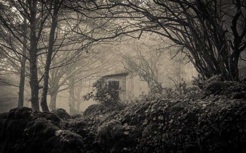 Casa de Ghost na névoa fotografia de stock Casa de Ghost na névoa fotografia de stock