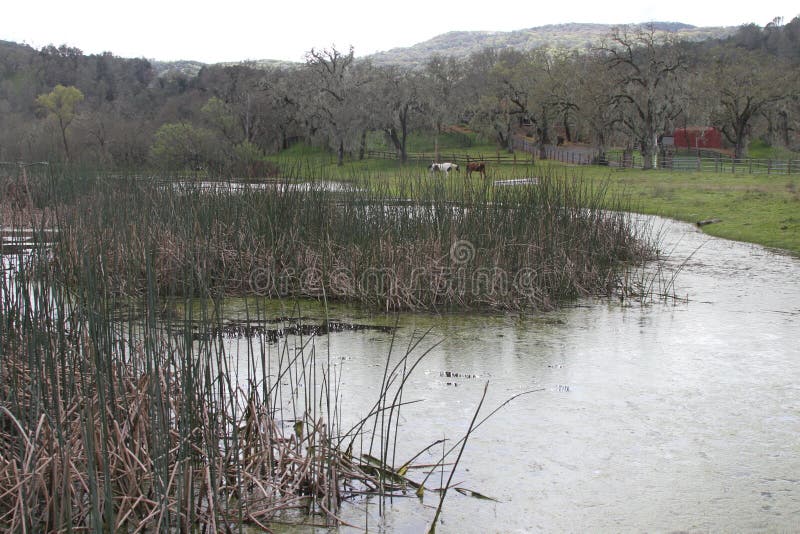 Casa De La Granja En California Foto de archivo Imagen de granja, pasto 89352274