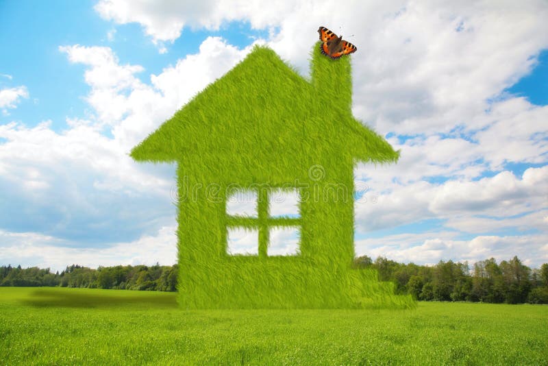 Casa de la hierba con la mariposa en prado del verano imágenes de archivo libres de regalías Casa de la hierba con la mariposa en prado del verano imágenes de archivo libres de regalías