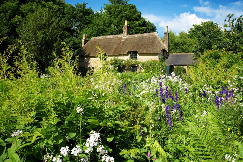 Casa Britânica Amarela Com Plantas Fora Das Janelas Imagem de Stock -  Imagem de londres, urbano: 204969287