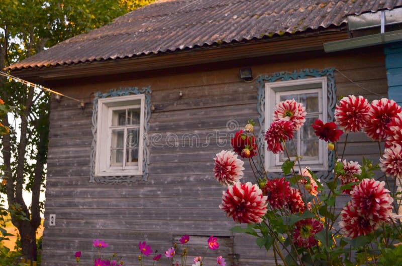 Casa di legno con le finestre scolpite in Vologda Russia Stile russo nell'architettura Casa russa rustica con il giardino fotografia stock Casa di legno con le finestre scolpite in Vologda Russia Stile russo nell'architettura Casa russa rustica con il giardino fotografia stock