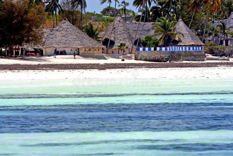 zanzibar beach seaweed in indian ocean tanzania sand isle sky and boat. zanzibar beach seaweed in indian ocean tanzania sand isle sky and boat