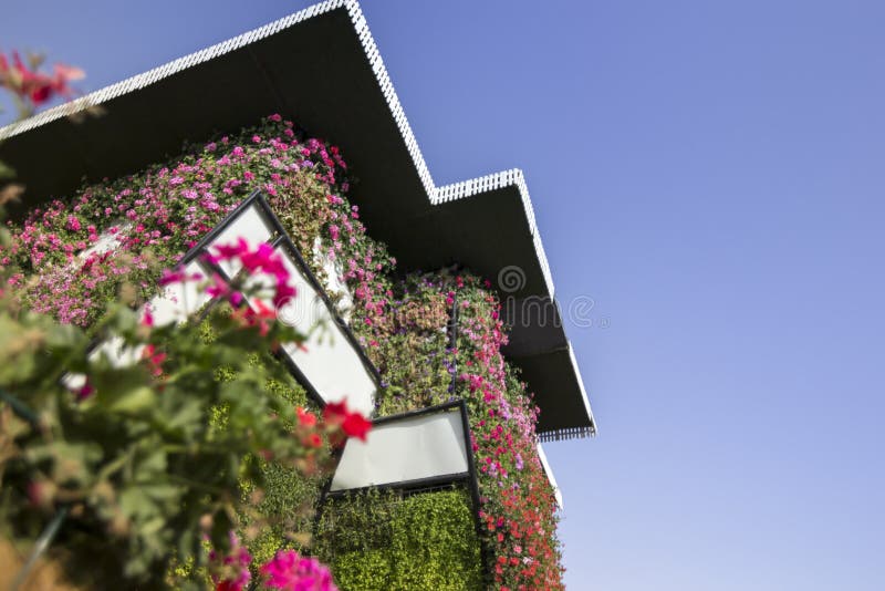 Casa estiva di miracolo del Dubai coperta in fiori rosa fotografie stock Casa estiva di miracolo del Dubai coperta in fiori rosa fotografie stock