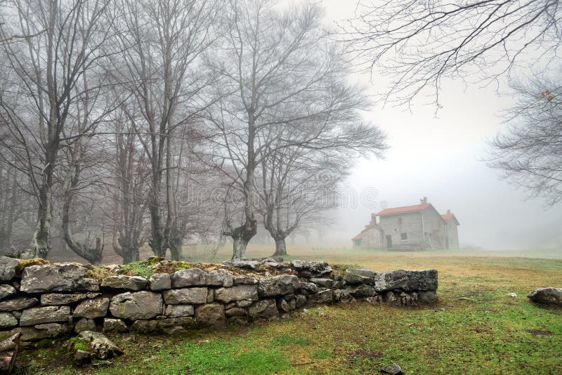 Resultado de imagen de casa misteriosa bosque
