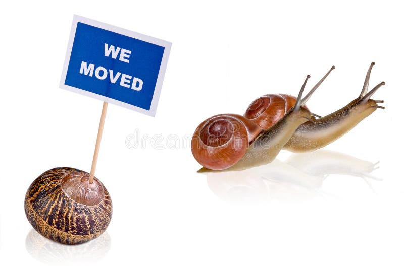 Two snails moving away after selling their hosue. Two snails moving away after selling their hosue