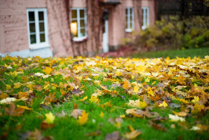 Casa sola en parque del otoño foto de archivo