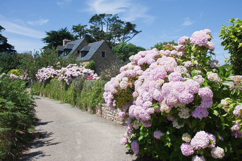 Old traditional house with garden in bretagne, France. Old traditional house with garden in bretagne, France