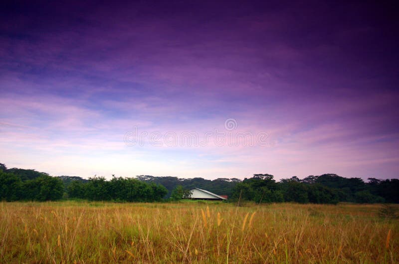 Casa velha na pastagem foto de stock royalty free Casa velha na pastagem foto de stock royalty free