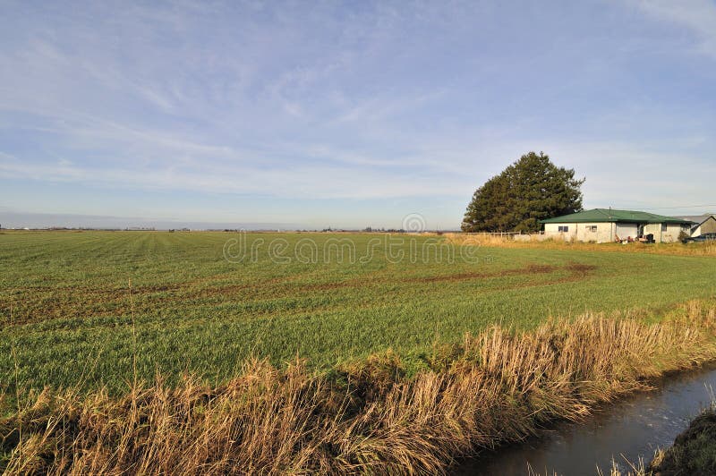 Casa vieja en campo imagen de archivo. Imagen de rural