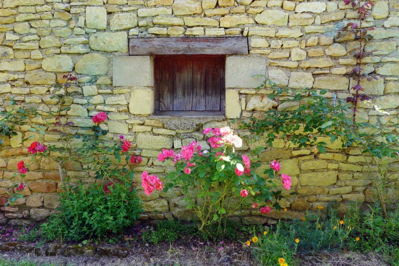 Casa y rosas de piedra amarillas medievales antiguas fotografía de archivo Casa y rosas de piedra amarillas medievales antiguas fotografía de archivo