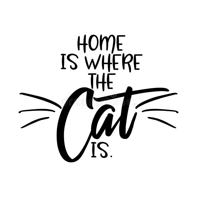 A casa é o lugar onde o gato está