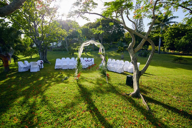 Casamento tropical do jardim da paisagem luxúria entre as árvores chamativos imagem de stock royalty free Casamento tropical do jardim da paisagem luxúria entre as árvores chamativos imagem de stock royalty free