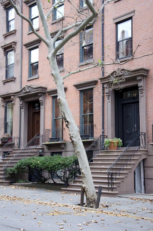 Casas de Brooklyn foto de stock. Imagem de incline, brooklyn 62000952