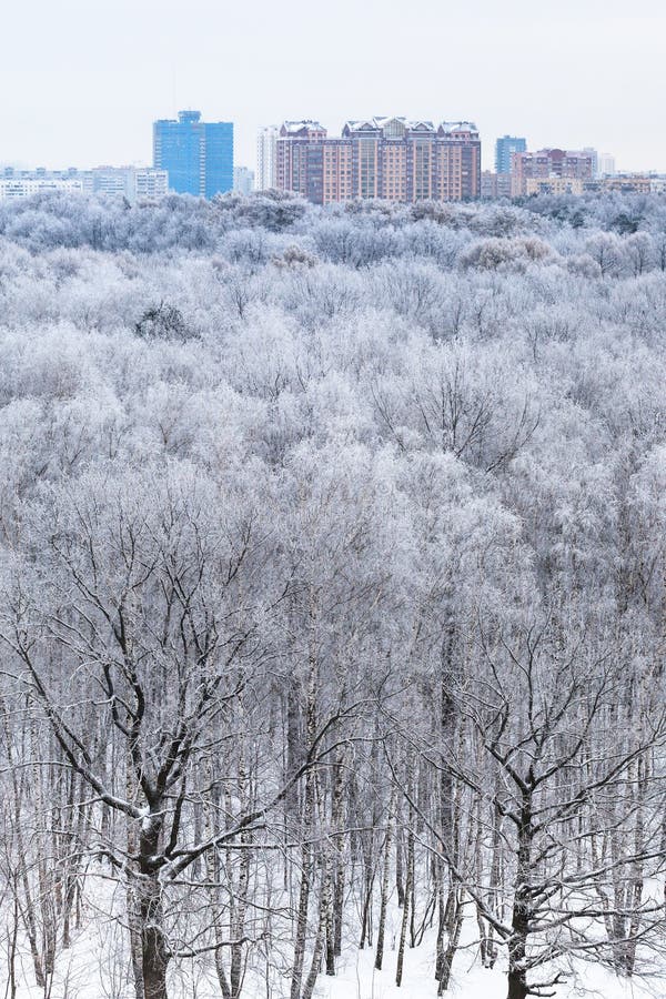 Casas en horizonte y la vista del bosque en nieve foto de archivo libre de regalías Casas en horizonte y la vista del bosque en nieve foto de archivo libre de regalías