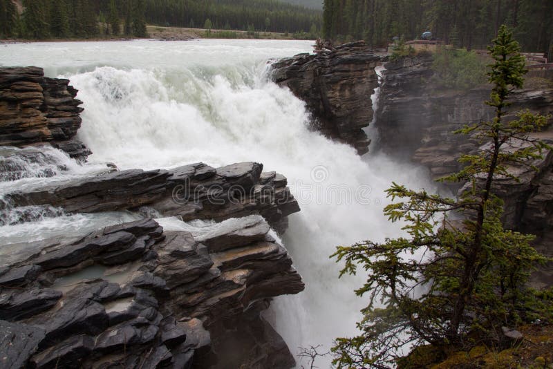 Waterfall in the canadian rockies demonstrating raw power. Waterfall in the canadian rockies demonstrating raw power