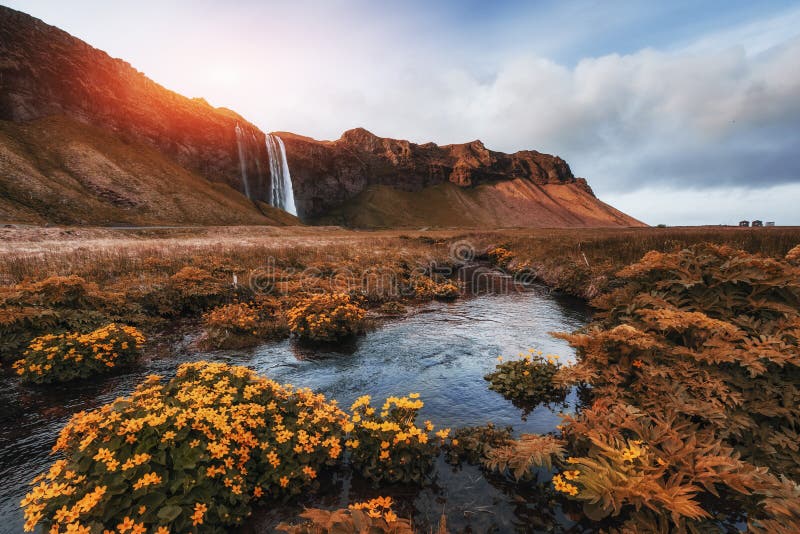 Cascada de Seljalandfoss Día soleado hermoso del verano fotografía de archivo Cascada de Seljalandfoss Día soleado hermoso del verano fotografía de archivo