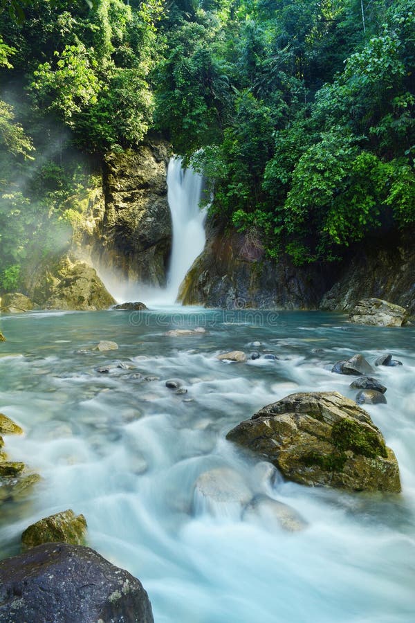 Beuaty natural foto de archivo. Imagen de delicado, perfección - 96795808