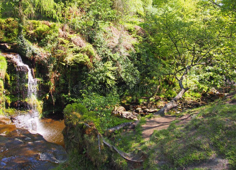 Cascada en arbolado en el decano del crimsworth cerca del pecket bien en el calderdale West Yorkshire imagen de archivo Cascada en arbolado en el decano del crimsworth cerca del pecket bien en el calderdale West Yorkshire imagen de archivo