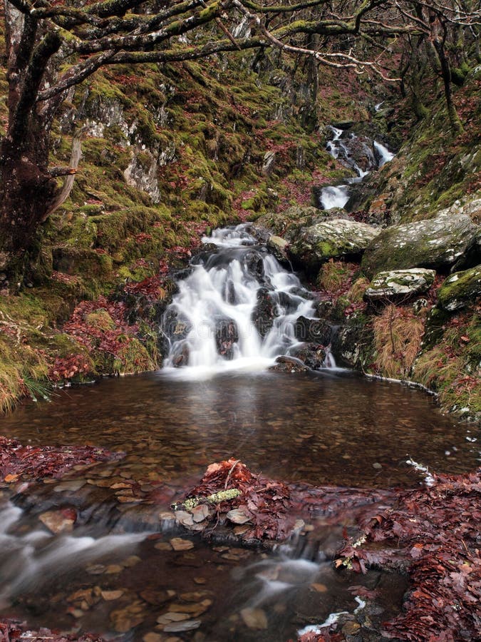 Cascada en otoño fotografía de archivo libre de regalías Cascada en otoño fotografía de archivo libre de regalías