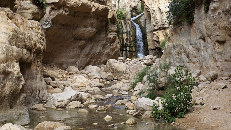 Cascada Ocultada En Wadi Arugot, Israel Foto de archivo - Imagen de