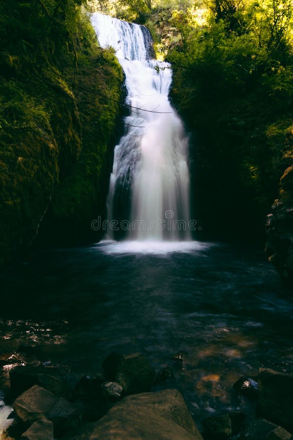 Cascada pura hermosa en un bosque tropical exótico con un lago fotos de archivo libres de regalías Cascada pura hermosa en un bosque tropical exótico con un lago fotos de archivo libres de regalías