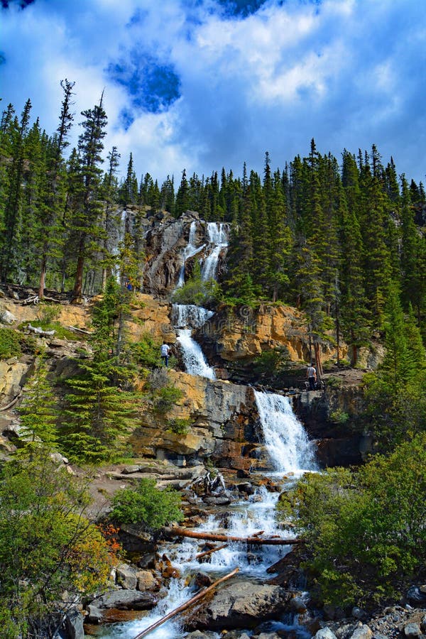 Cascadas de la cala del enredo en Jasper National Park, Alberta, Canadá fotos de archivo libres de regalías Cascadas de la cala del enredo en Jasper National Park, Alberta, Canadá fotos de archivo libres de regalías