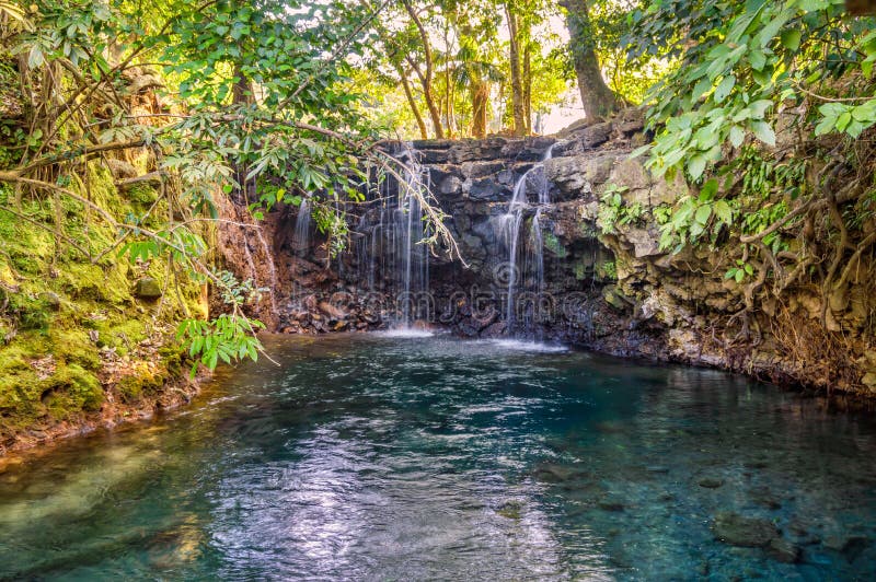 Cascadas Gemelas, Βέρακρουζ, Μεξικό στοκ εικόνες Cascadas Gemelas, Βέρακρουζ, Μεξικό στοκ εικόνες
