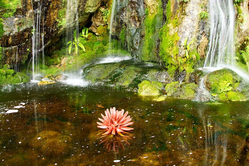 Cascadas hermosas en jardines de la lisonja foto de archivo libre de regalías Cascadas hermosas en jardines de la lisonja foto de archivo libre de regalías
