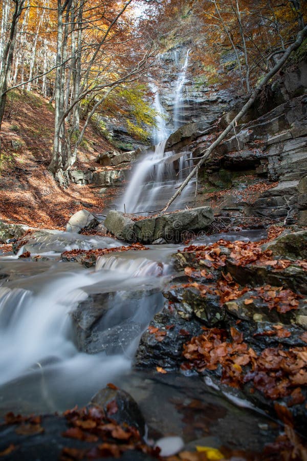 Cascade avec courant de montagne parmi le feuillage d'automne. photos libres de droits