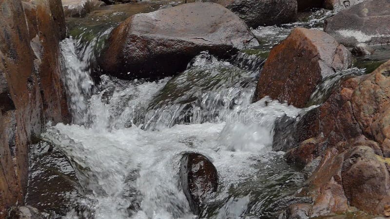 Cascade dans la forêt tropicale humide