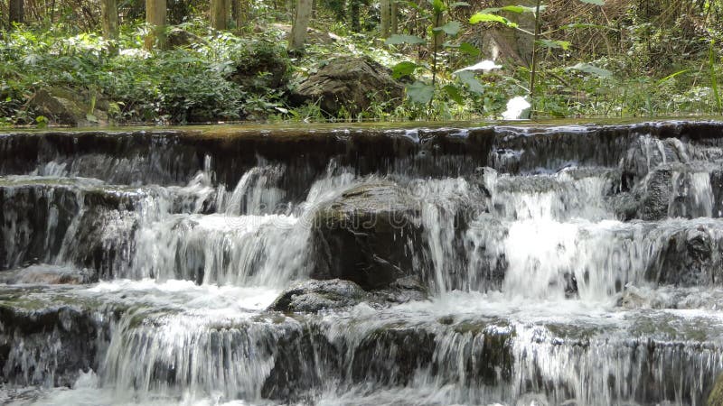 Cascade dans la forêt tropicale