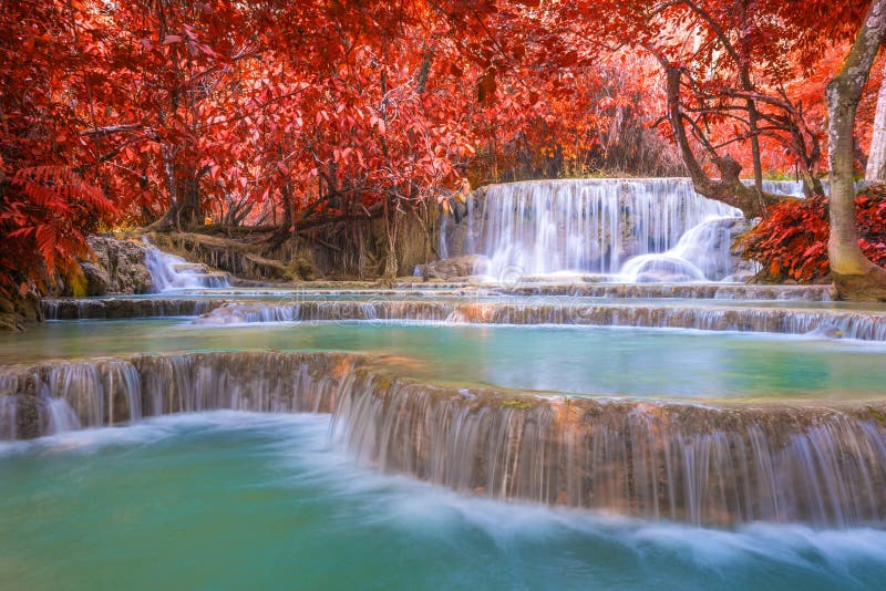 Cascade dans la forêt tropicale (Tat Kuang Si Waterfalls