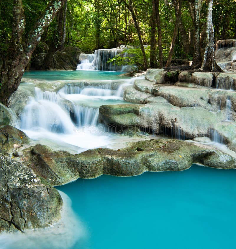  Cascade  dans la jungle  photo stock Image du circuler 