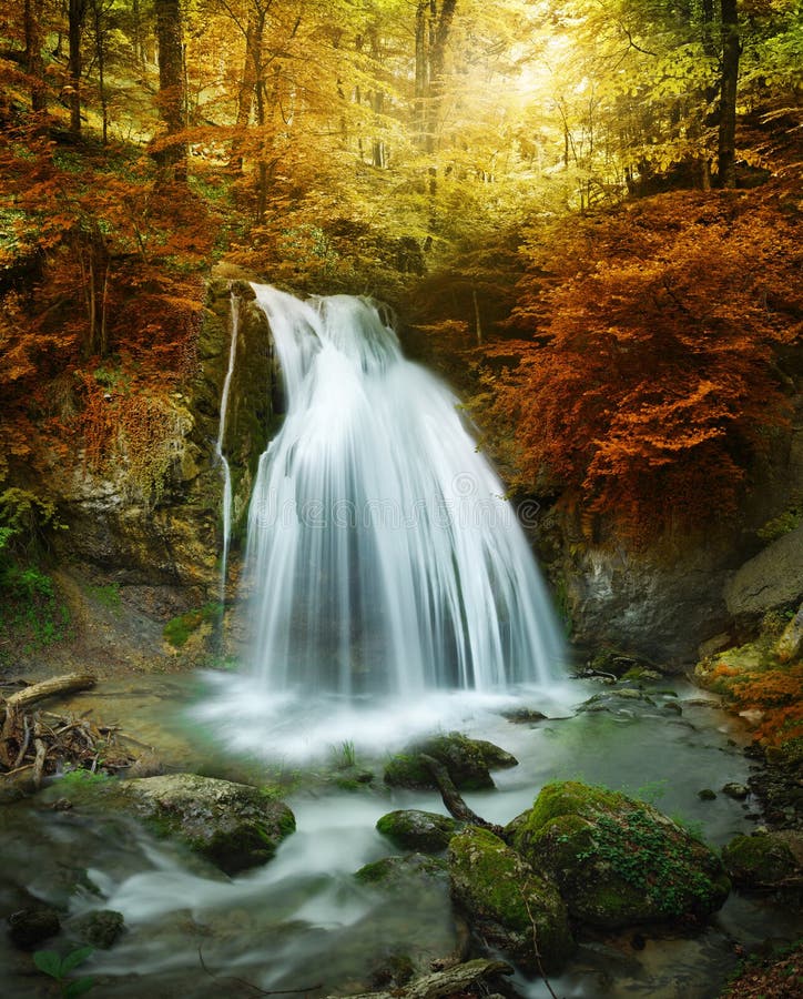 Cascade de forêt photos stock Cascade de forêt photos stock