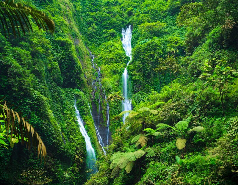 Cascade de Madakaripura, Java-Orientale, Indonésie photos stock Cascade de Madakaripura, Java-Orientale, Indonésie photos stock