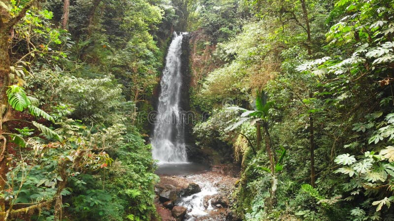 Cascade et jungle dans Bali, Indonésie vue aérienne de cascade tropicale clips vidéos