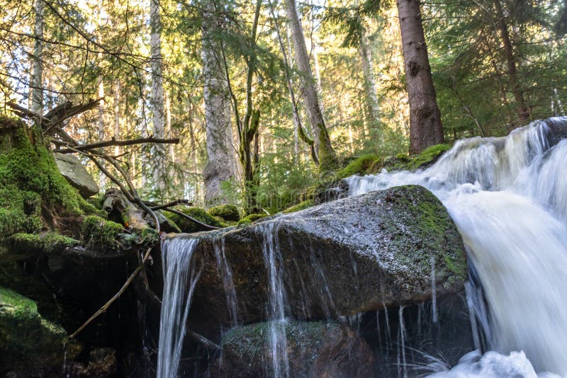 Cascade Falls Over Mossy Rocks Stock Photo Image Of Park Forest