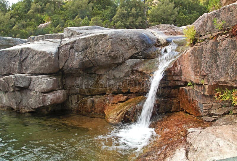 Cascade Falls Over Mossy Rocks In Deep Forest Stock Photo Image Of