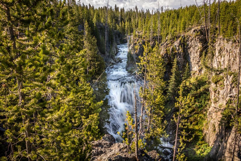 Cascade Falls, Yellowstone National Park Stock Image - Image of morning, forest: 73697357