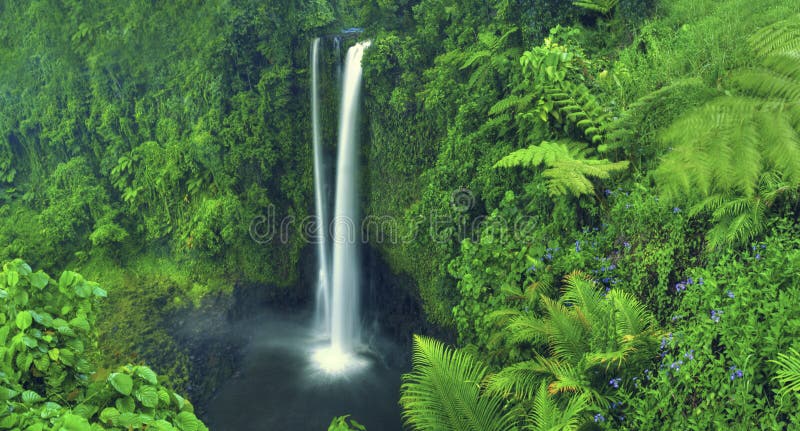 Cascade Forest Concept de Scenics de nature de cascade photos stock Cascade Forest Concept de Scenics de nature de cascade photos stock