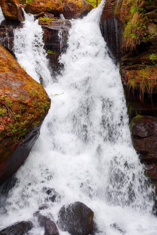 Cascade on the Forest Creek Stock Image Image of scenic, rock 274846717