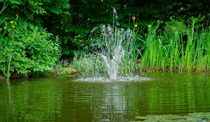 Cascade fountain on emerald surface of old pond against background of greenery of shady garden.