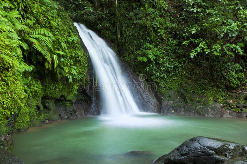 Cascade la cascade aux. d'Ecrevisses, Guadeloupe images stock Cascade la cascade aux. d'Ecrevisses, Guadeloupe images stock