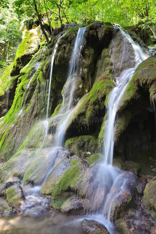  Jungle cascade  image stock Image du vert jungle  