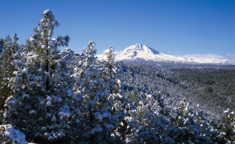 Cascade Mountains in winter
