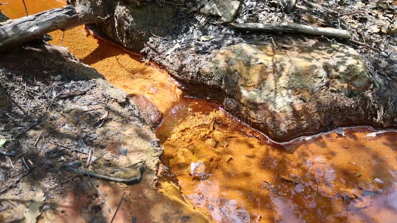 Cascade pure d'eau douce dans la forêt clips vidéos